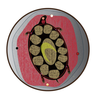 Turtle-1